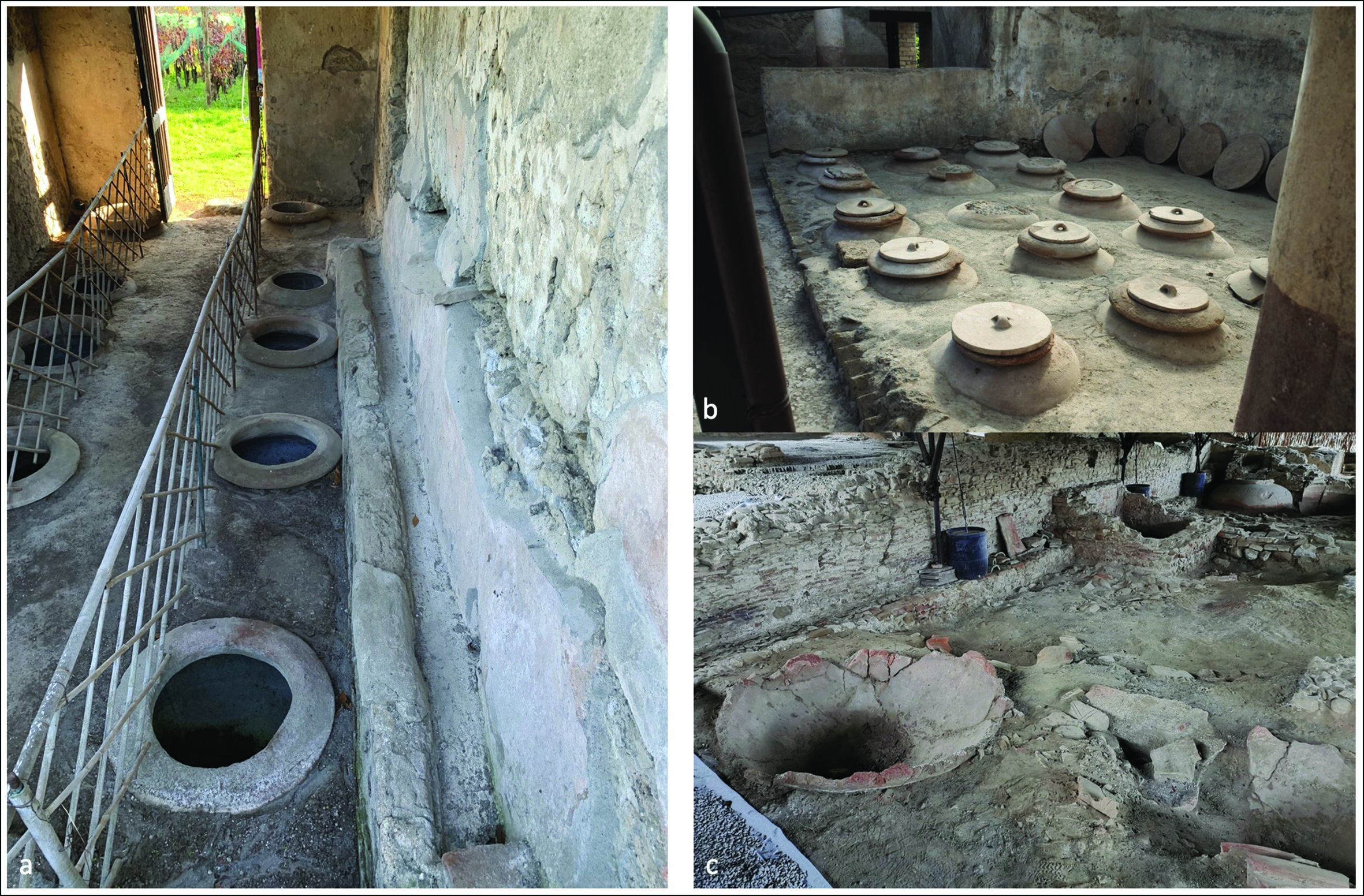 辣葡萄酒:新研究揭示古罗马人可能有特殊口味