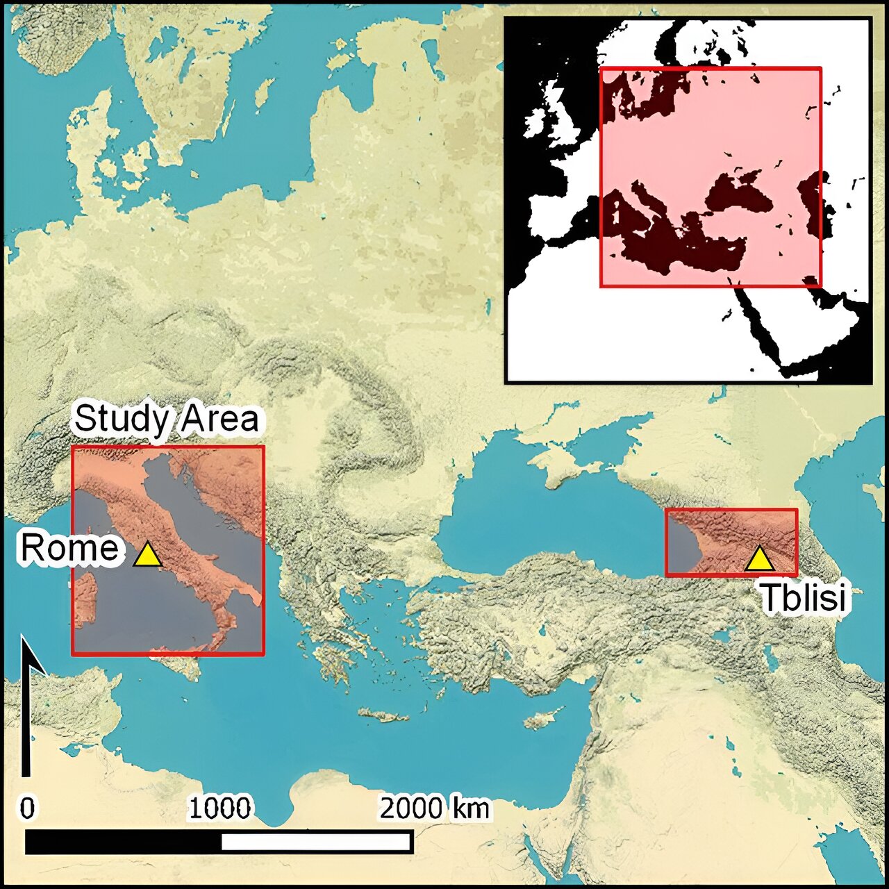 辣葡萄酒:新研究揭示古罗马人可能有特殊口味