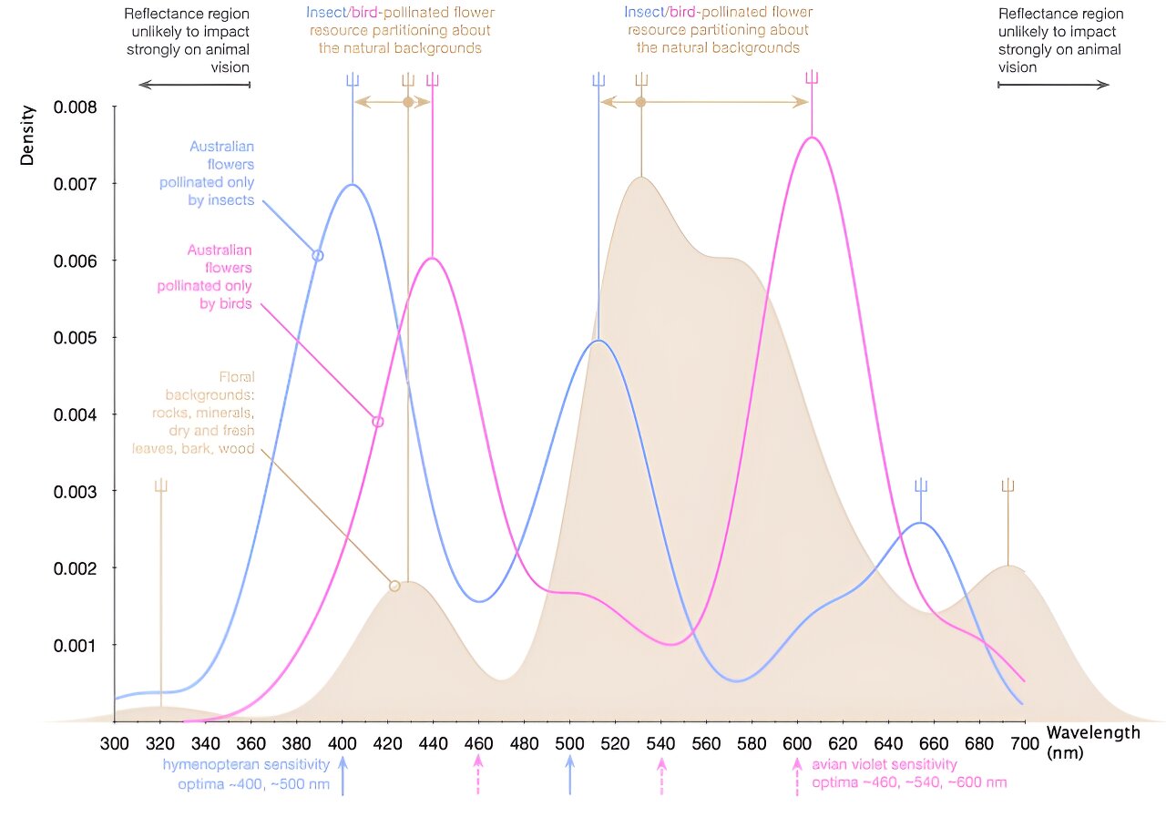 һ仨۷֮ǰġôαҫ۵أ