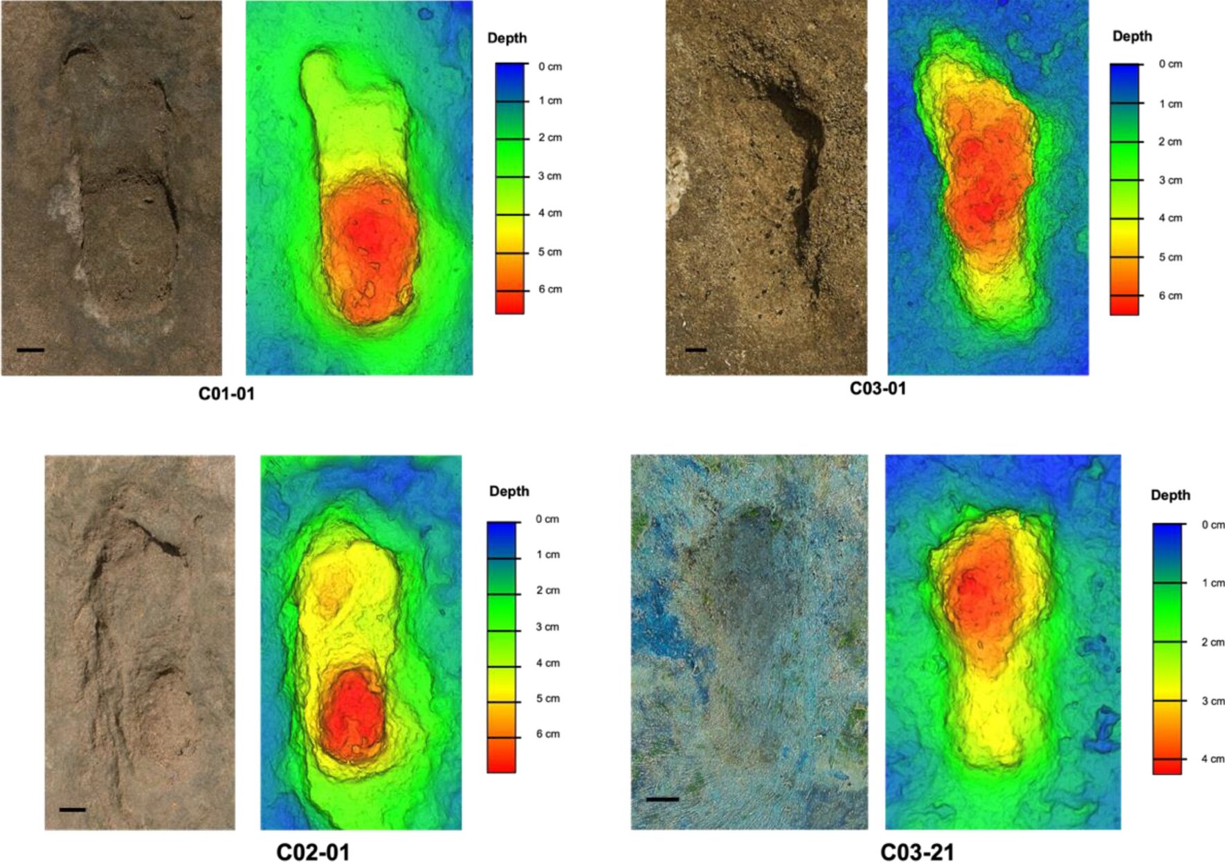 摩洛哥海滩发现9万年前的人类脚印