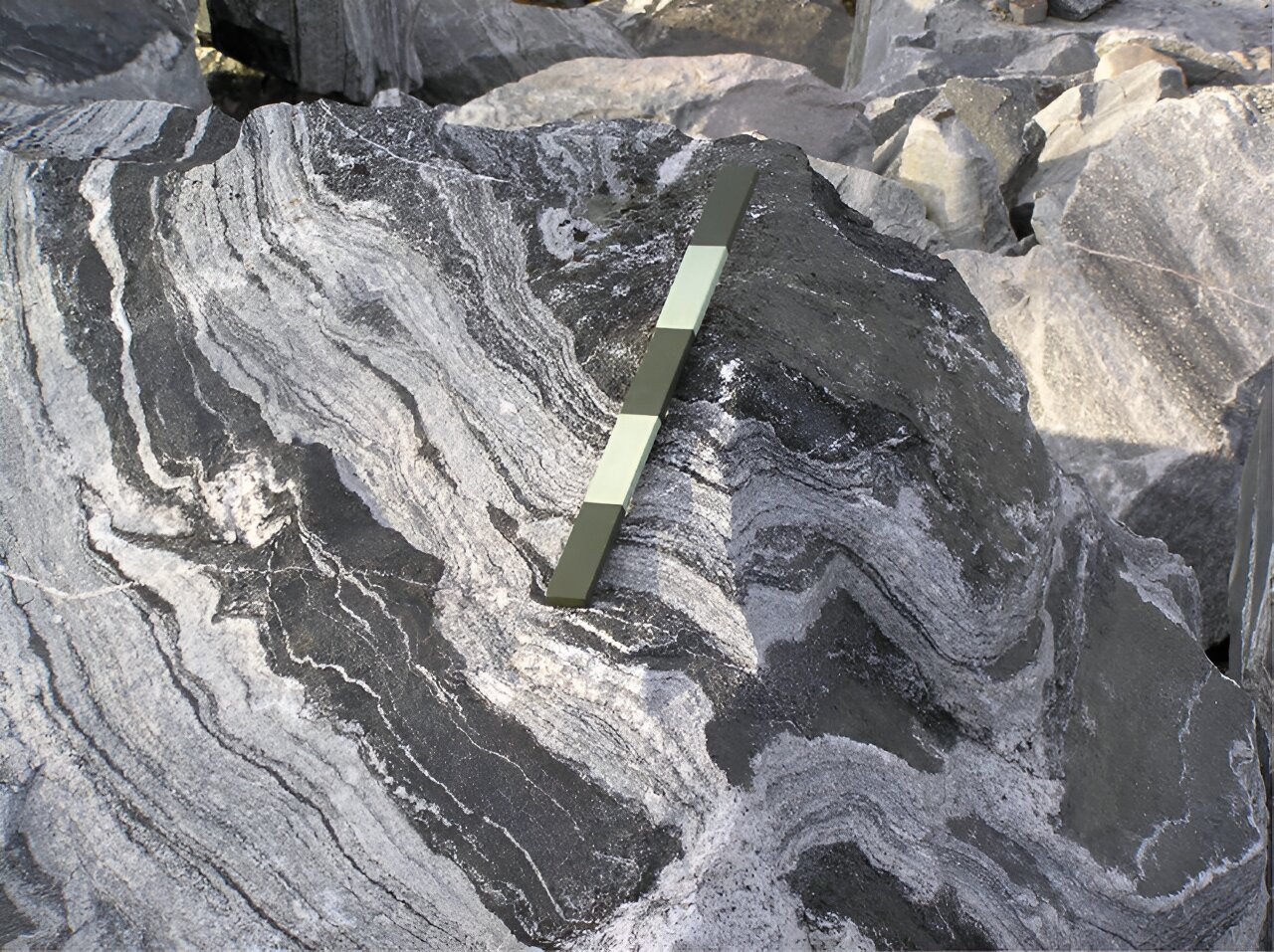 �о���Ա�����˵�һ��������½��Դ��