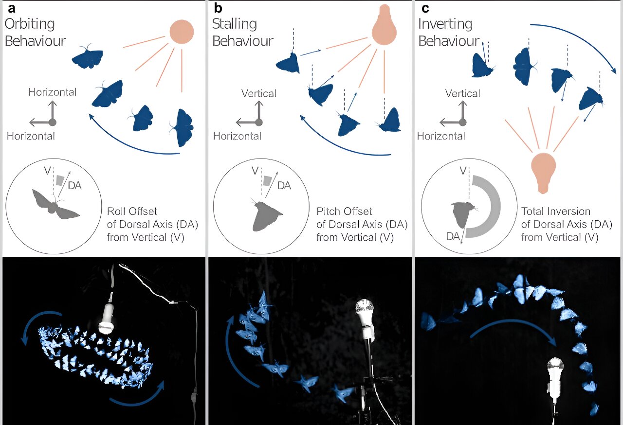 ҹƵƷеľԭǣʧȥ˶յ׷