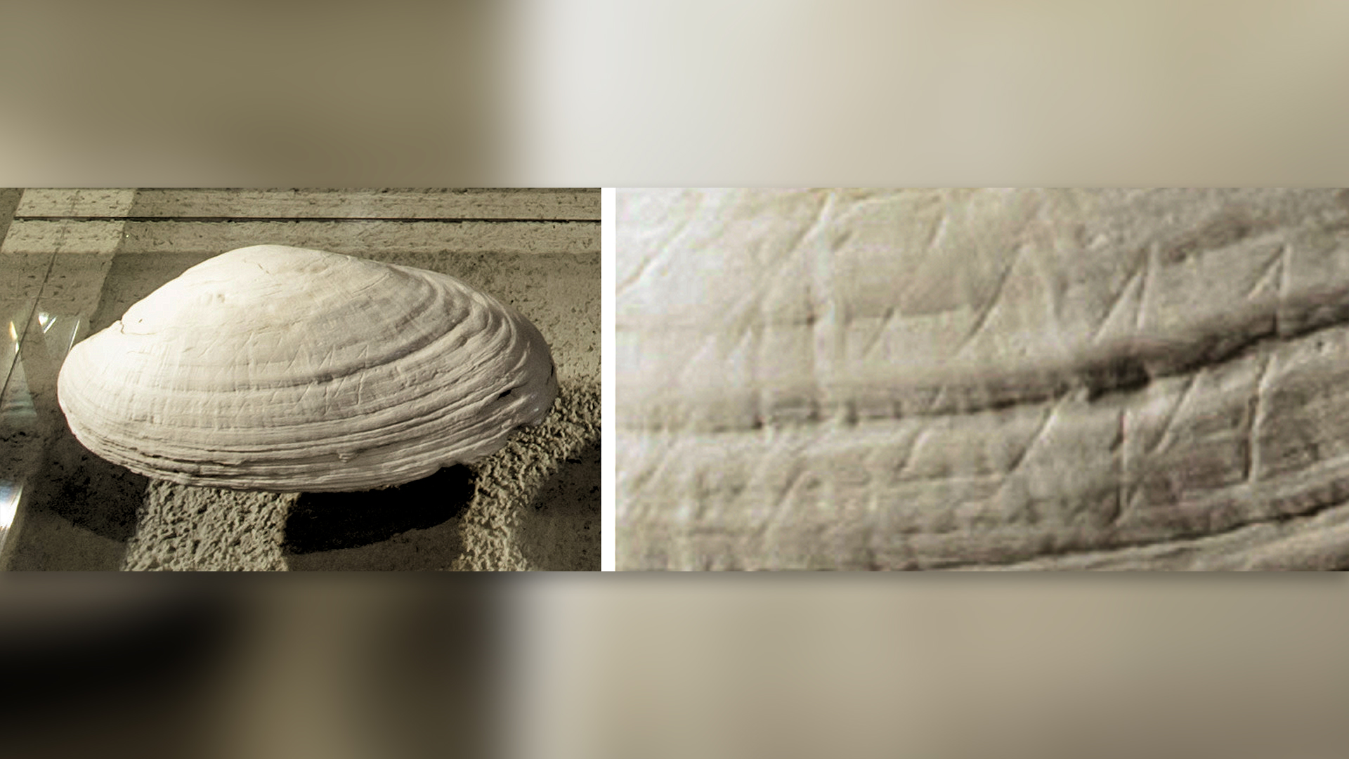 13件世界上最古老的艺术品,其中一些是由灭绝的人类亲属制作的