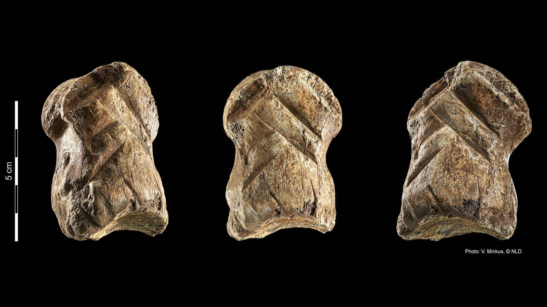 艺术在现代人类之前就存在了吗?新发现引发了重大问题