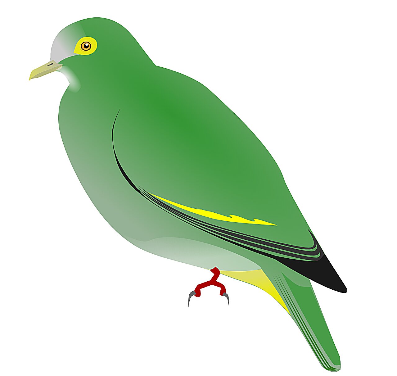 一只菲律宾果鸽揭示了它的秘密