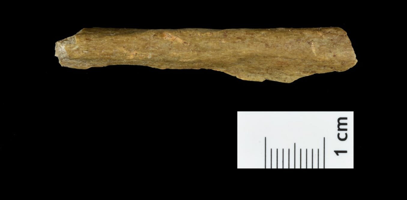 尼安德特人和现代人在欧洲共存了多久?证据表明它可能至少存在了一万年