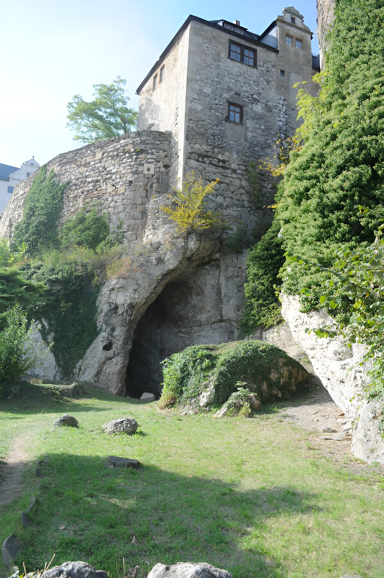 尼安德特人和现代人在欧洲共存了多久?证据表明它可能至少存在了一万年