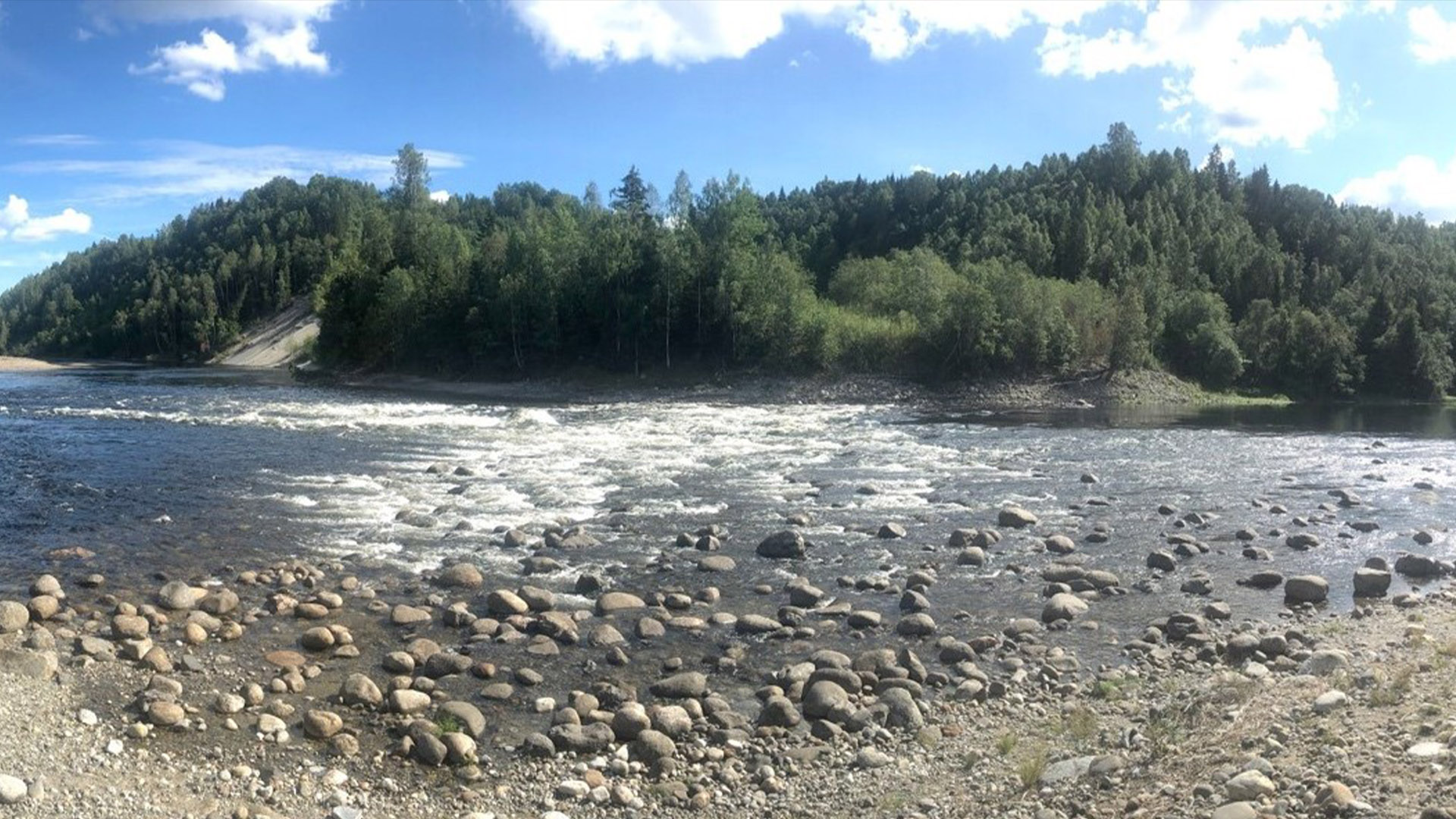 ͨϵĺ巢˹άǡĵؿؿ