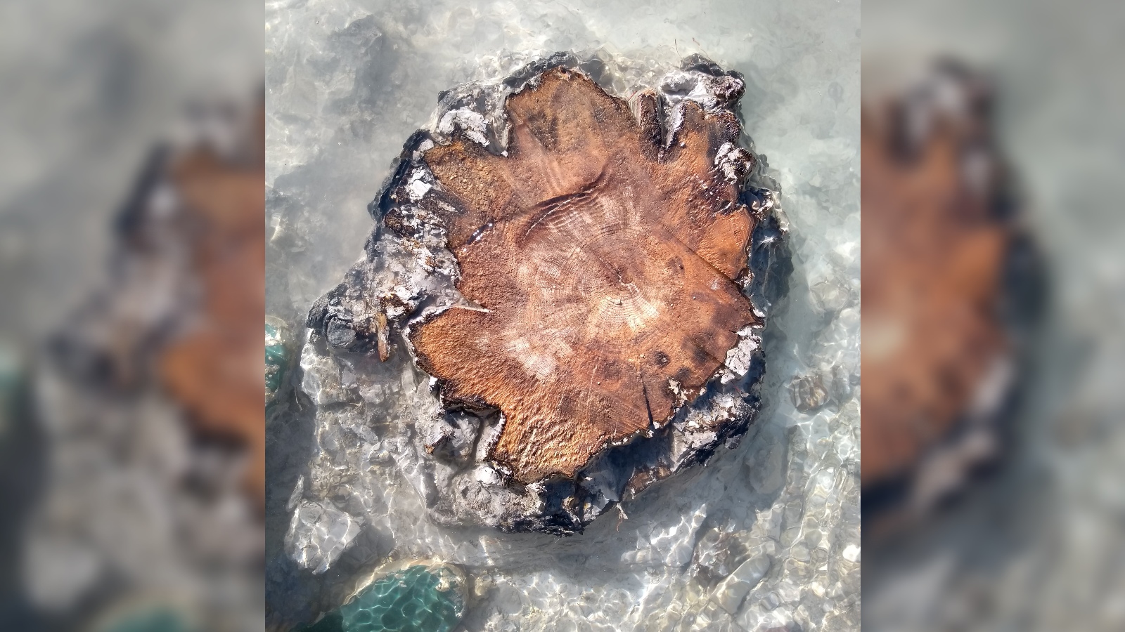 14000ǰϮĹŴ̫籩ǡʷġ