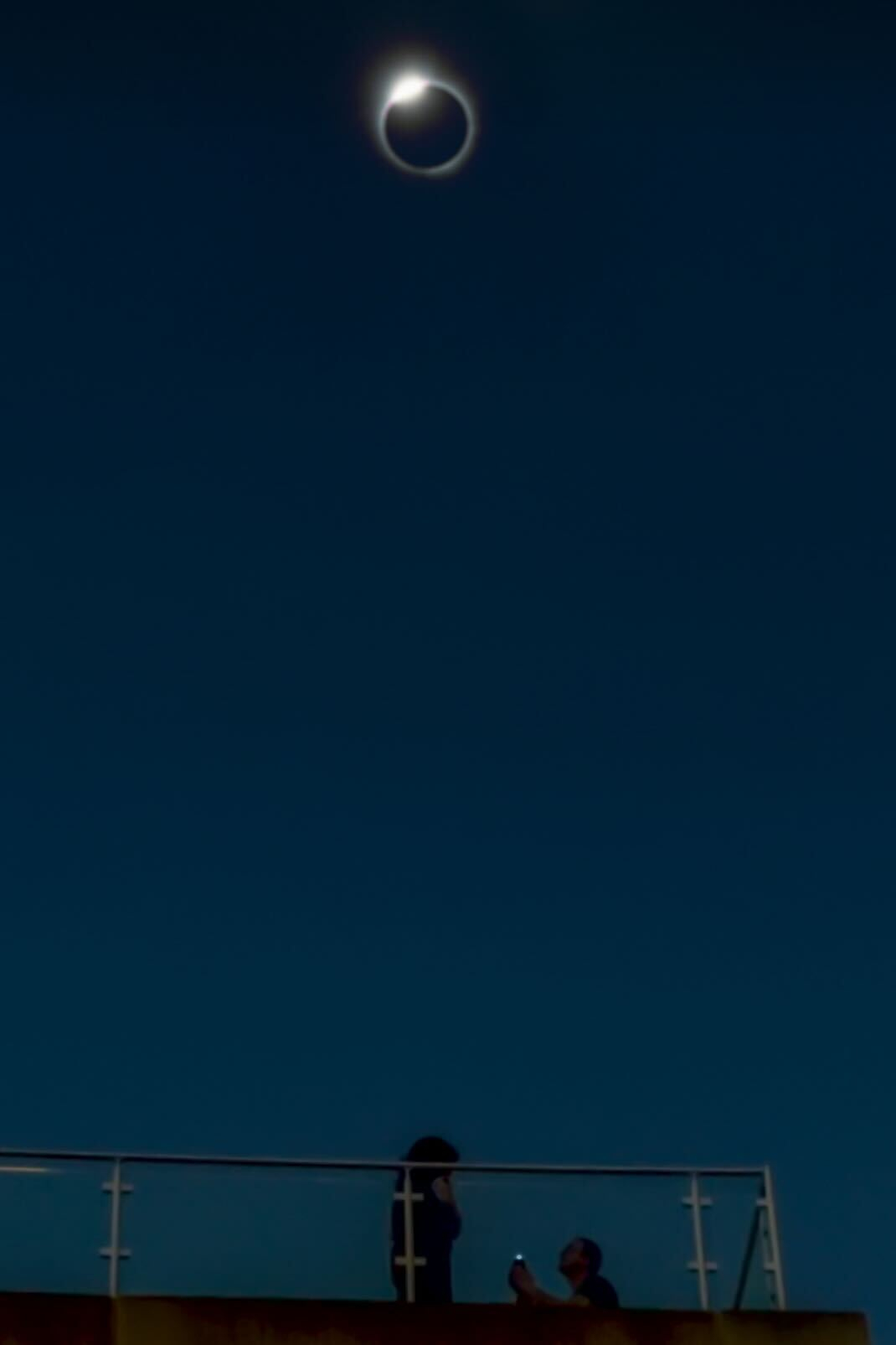 ����̫����������2024��4��8����ȫʳ���������δ�������