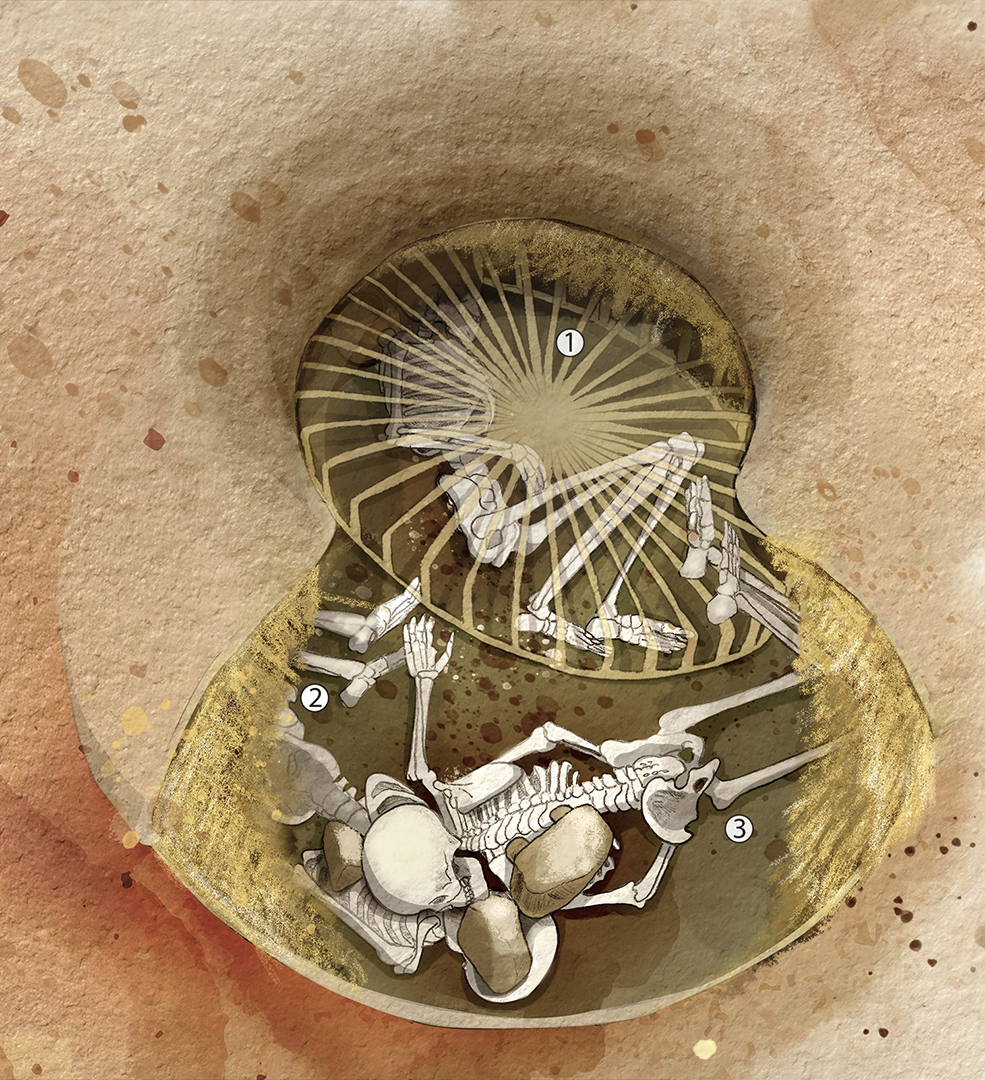 研究表明,欧洲新石器时代的妇女被捆绑起来活埋在祭祀仪式中