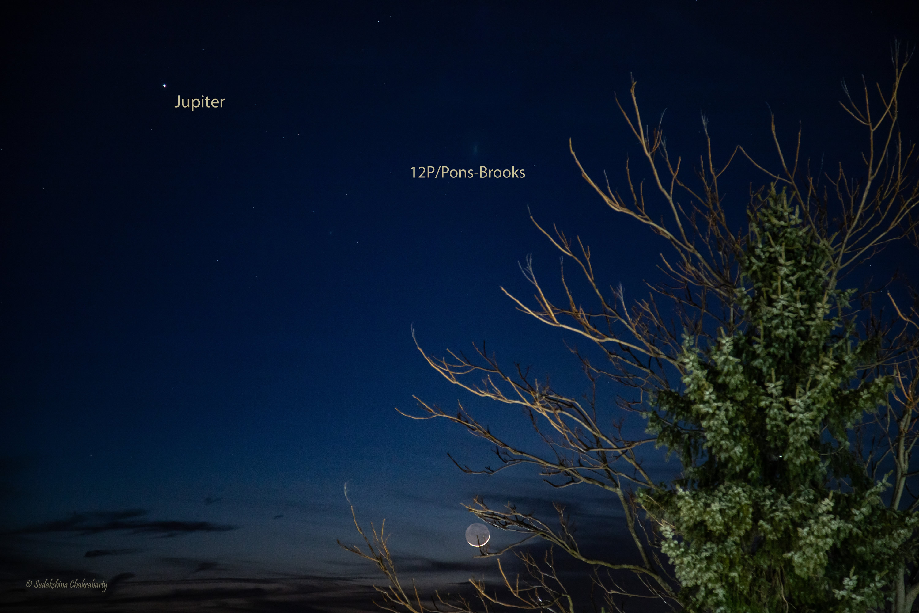 ��ο������������ġ��ǡ�����12P/Pons Brooks