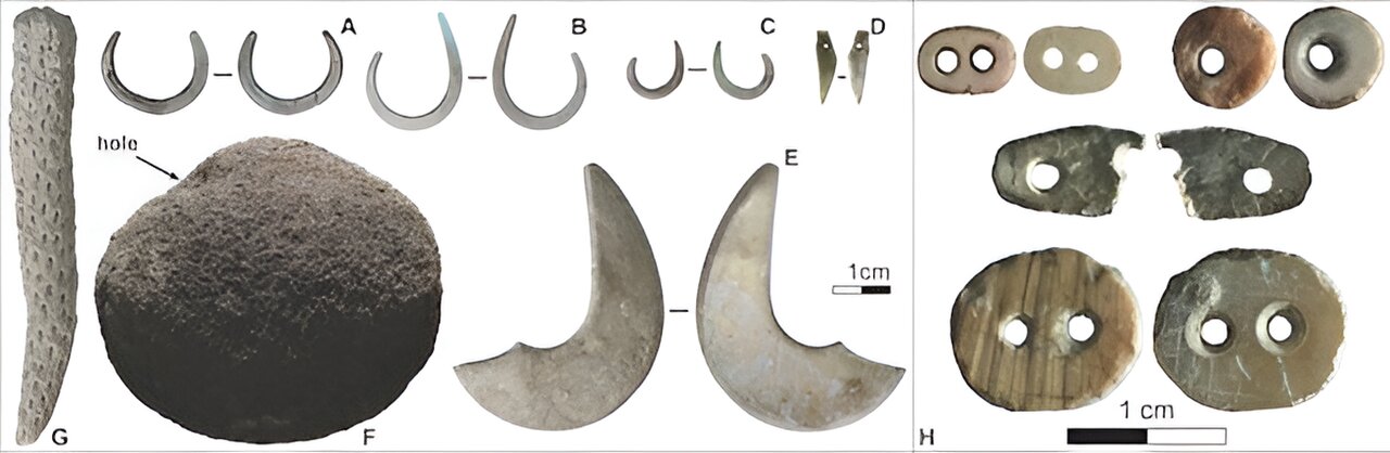 43000年前第一批阿洛尔人适应气候变化的故事