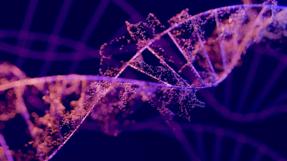 尼安德特人Y染色体消失之谜