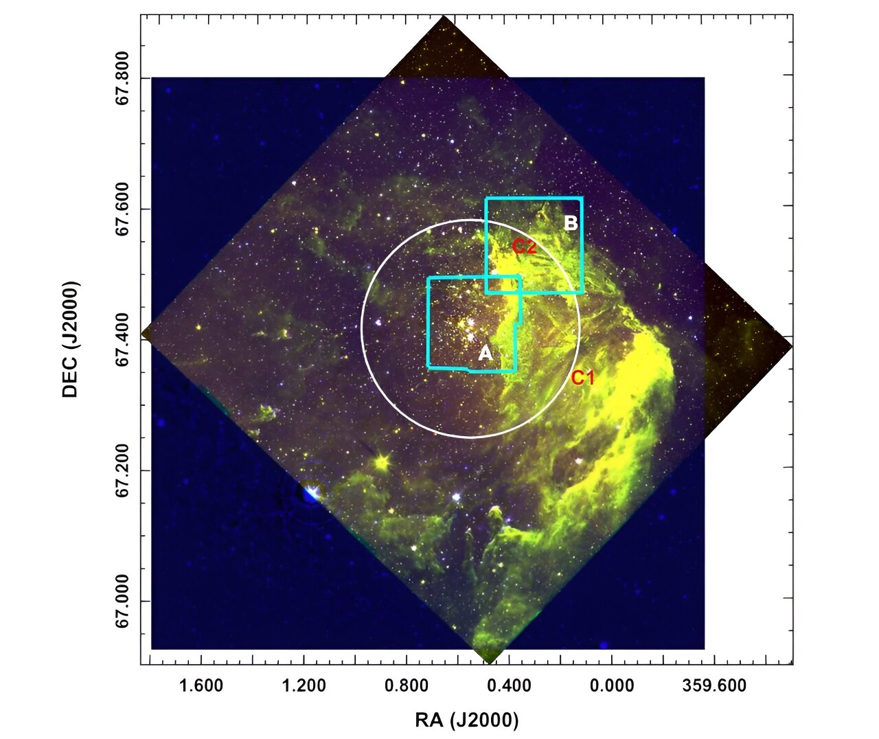 观测探索附近年轻疏散星团Berkeley 59的恒星含量