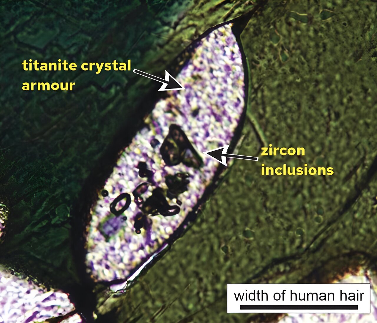 突破性发现:研究人员如何在珀斯附近发现地球原始地壳的残余物