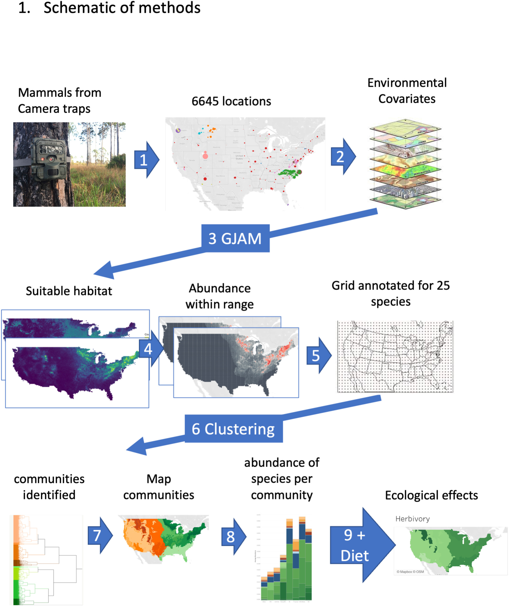 新研究发现,气候仍然是决定哺乳动物在哪里繁衍生息的最重要因素