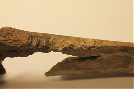 研究发现:在维京社会中,挪威比丹麦暴力得多