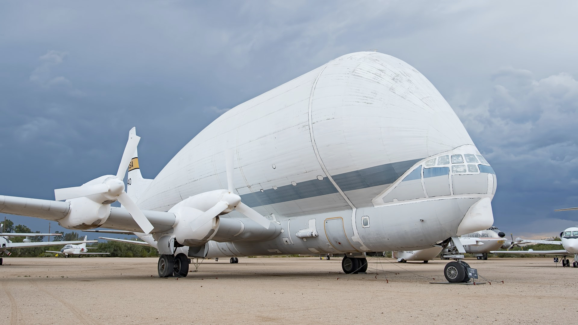 ̫յһ죡1965831ȸ״η