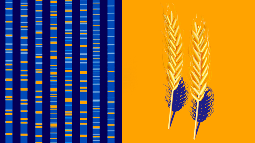 我们为什么喜欢碳水化合物?其起源早于农业,甚至可能早于我们与尼安德特人的分离