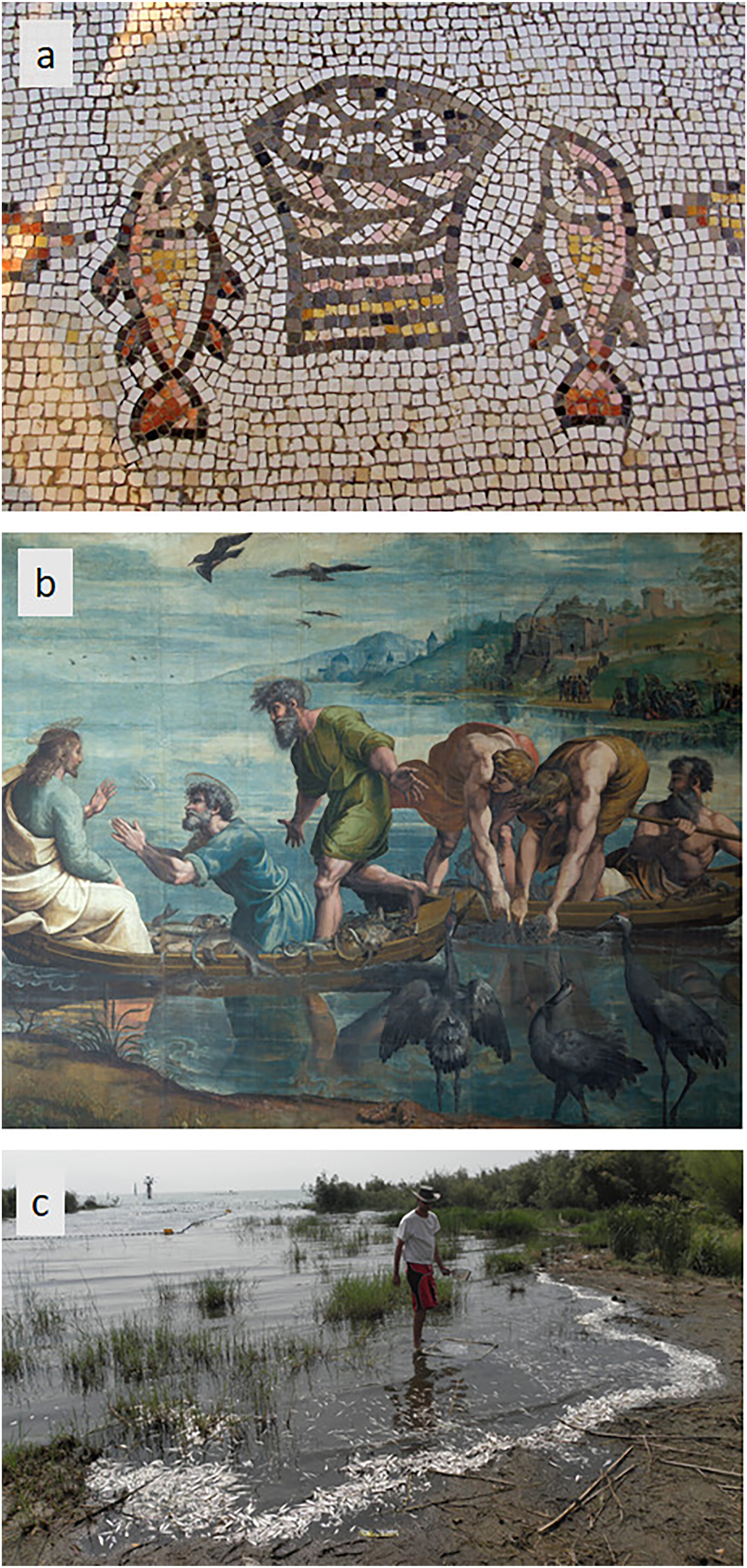 研究表明,耶稣“奇迹般地捕鱼”的解释可能不那么神奇