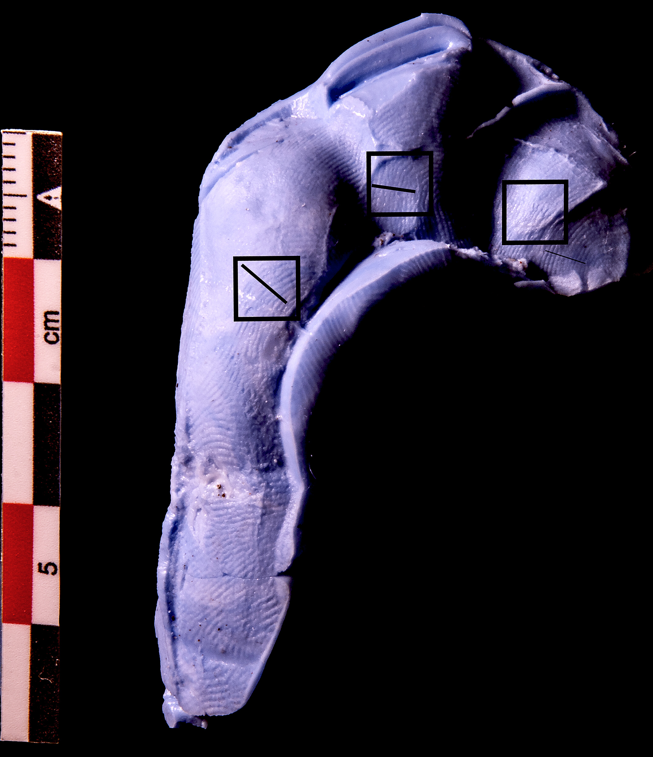 ŴٸϵָʾˡŮ˺ͺӶٸ