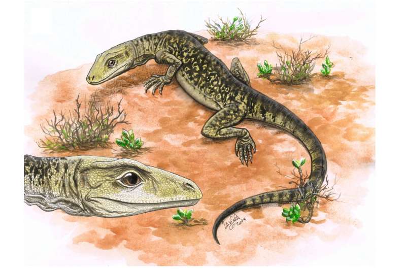 ֤ʵ˸ı˼ǰִԴı걾