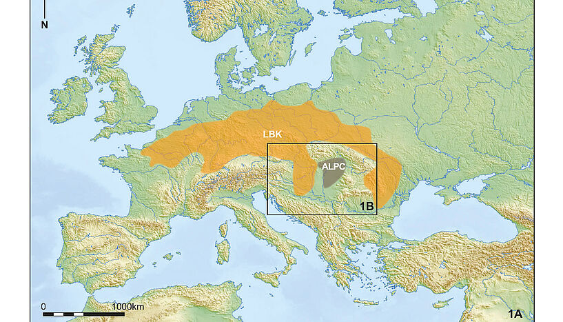 ʯʱڵĻݱŷĵһũƽ֮