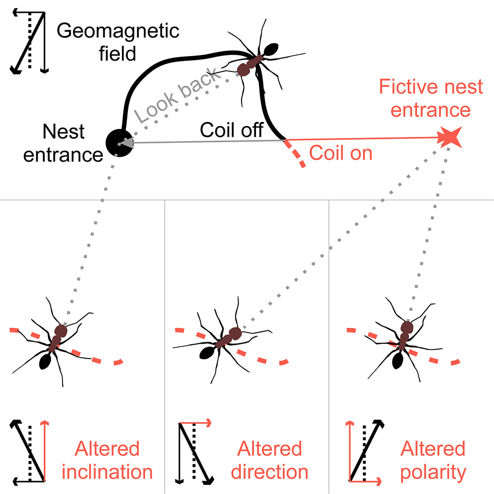 治ͬɳĮϿõشųļԽе