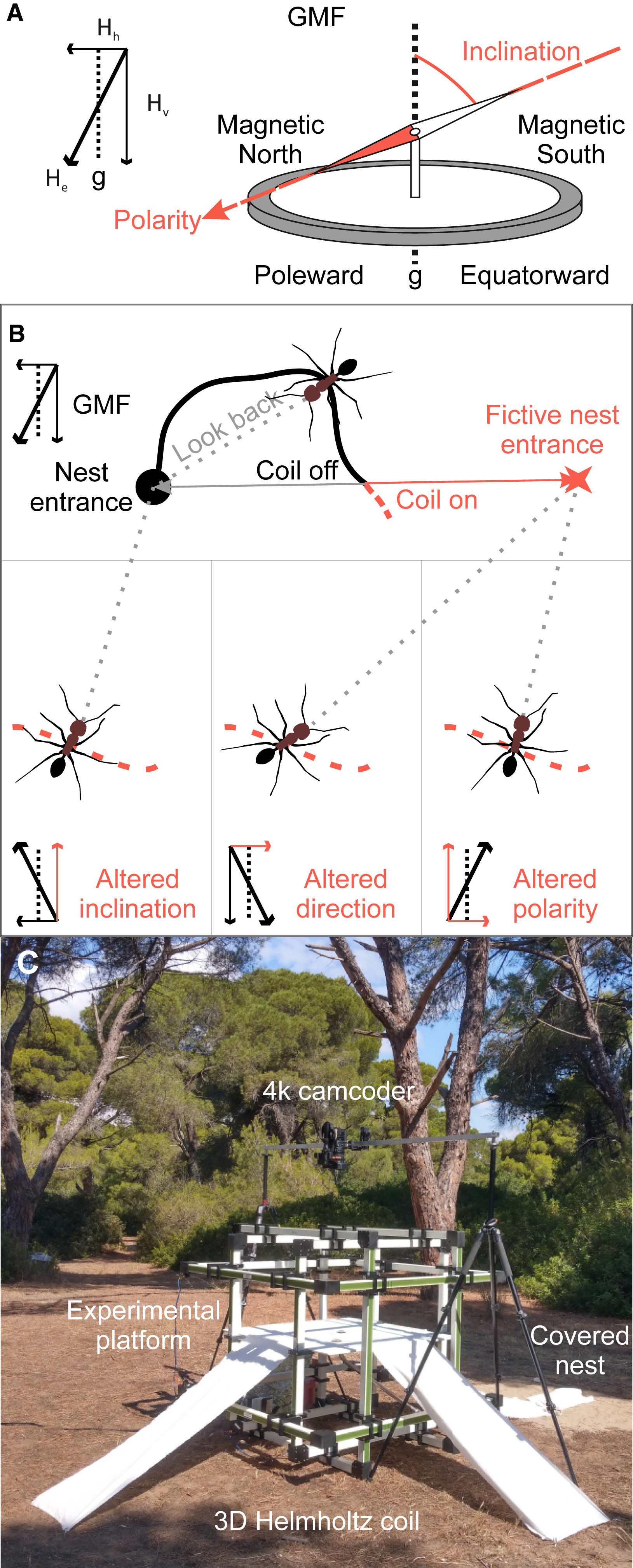 治ͬɳĮϿõشųļԽе