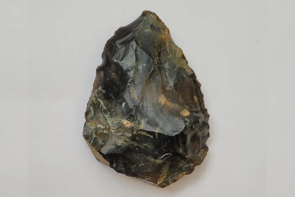 Ӣһ6ͯں̲Ϸֵʯʵһ5ǰᰲ˸ͷ