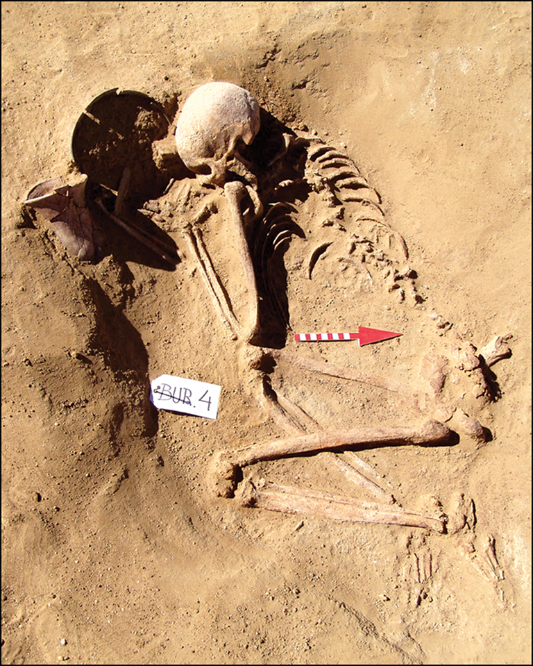 ޺ӹʯʱŬ˵̬ʾصĶ