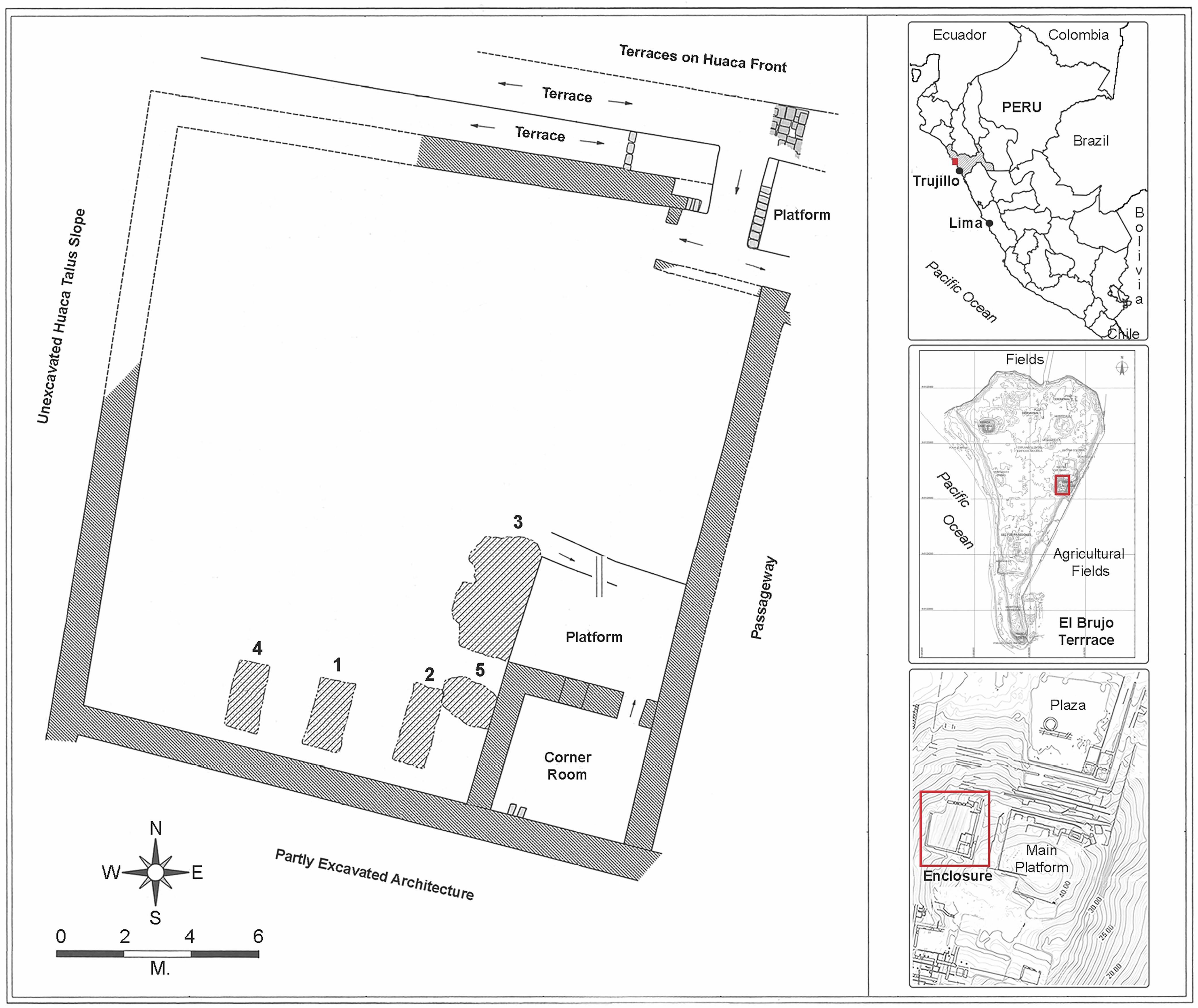 遗传分析揭示古代莫切祭祀中的亲缘关系