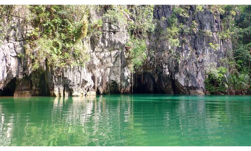 在印度洋-太平洋中部河口发现了一条引人注目的新海鳗,以冥界之神命名