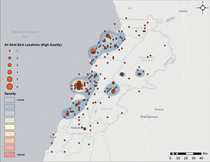 ͵ߵ罻ýӽʾ۷ǷҰľ˳̶