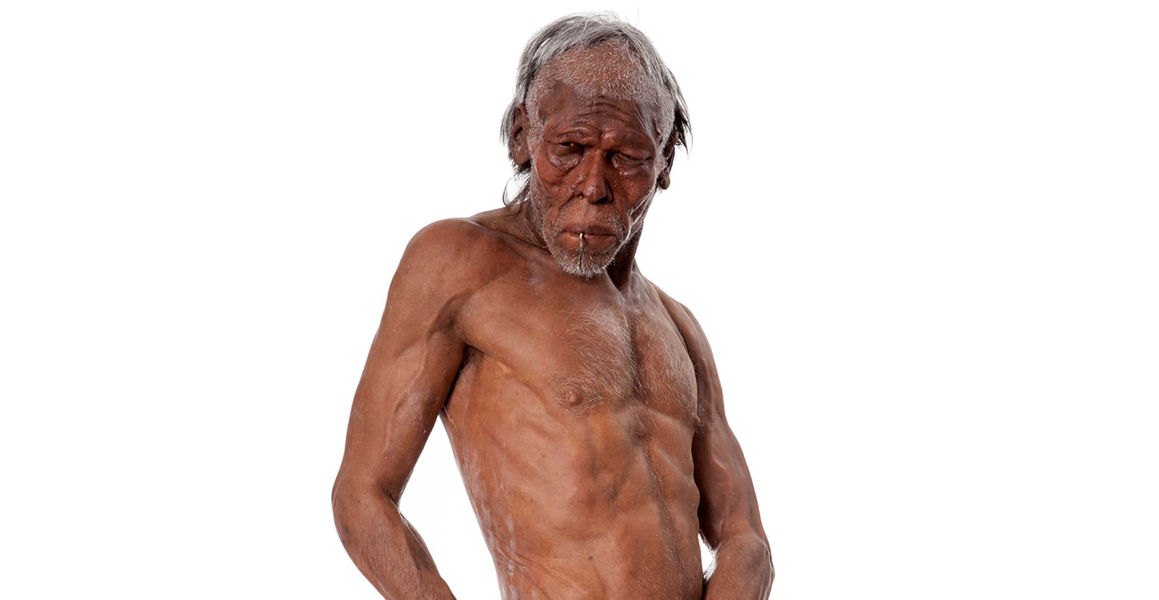 现代人类智人是何时以及如何从非洲传播到世界各地的?