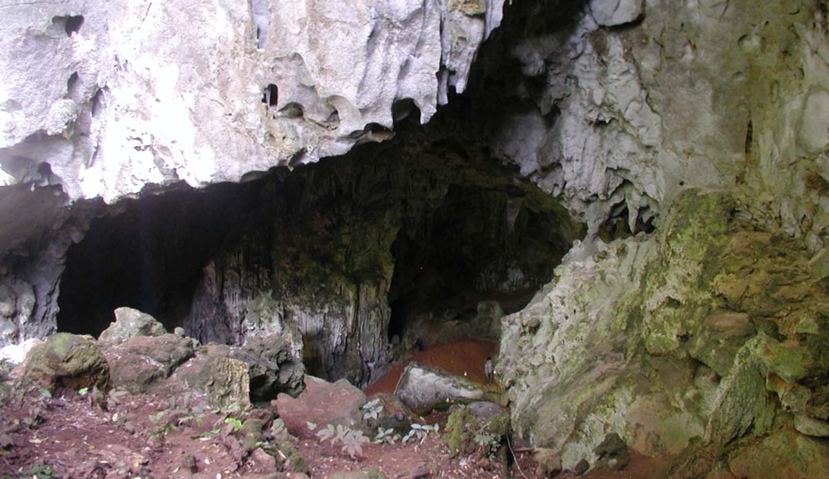 现代人类智人是何时以及如何从非洲传播到世界各地的?