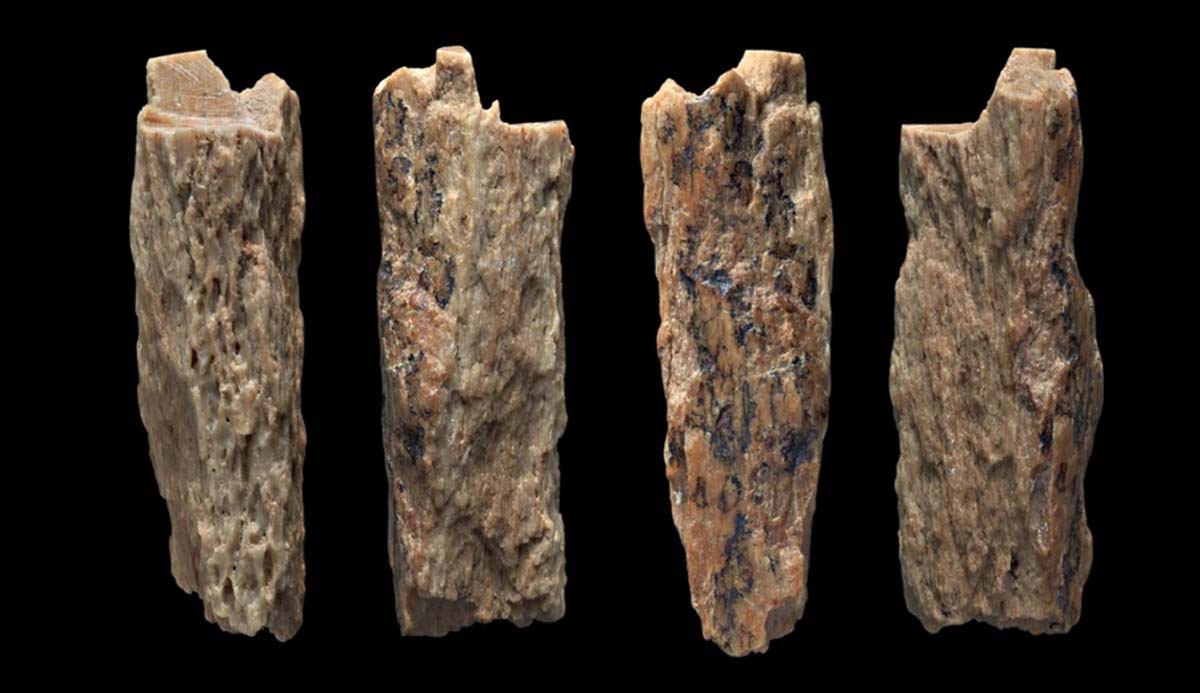 现代人类智人是何时以及如何从非洲传播到世界各地的?