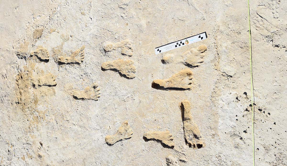 现代人类智人是何时以及如何从非洲传播到世界各地的?