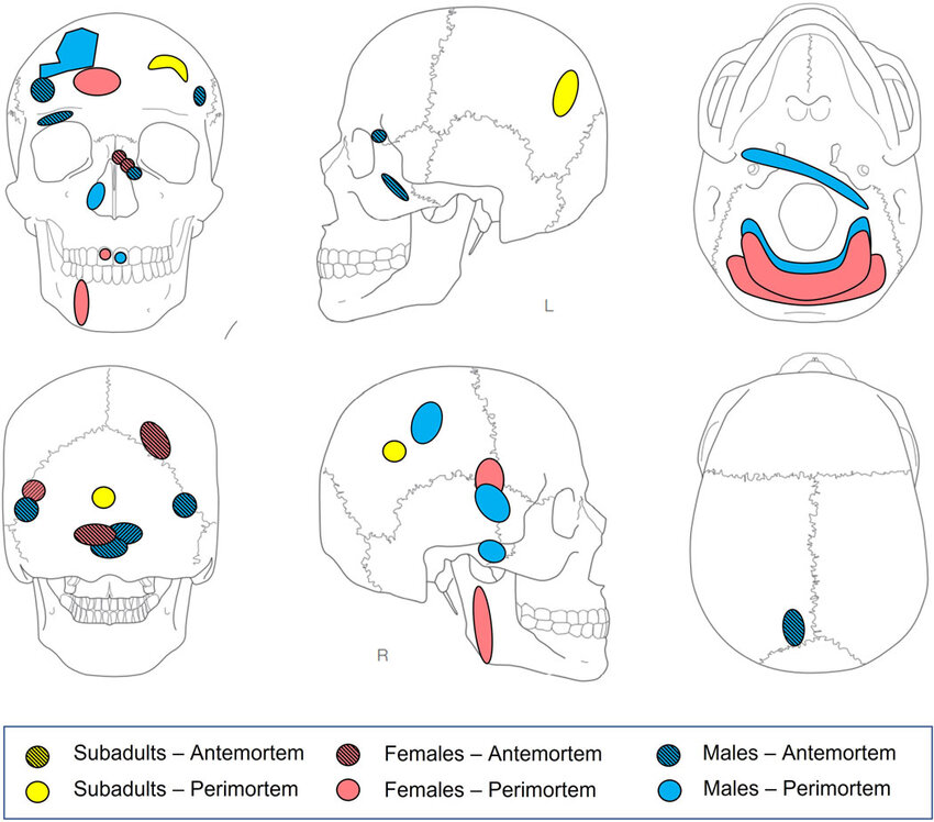 新的研究揭示了前哥伦布时期安第斯山脉童年的严酷现实