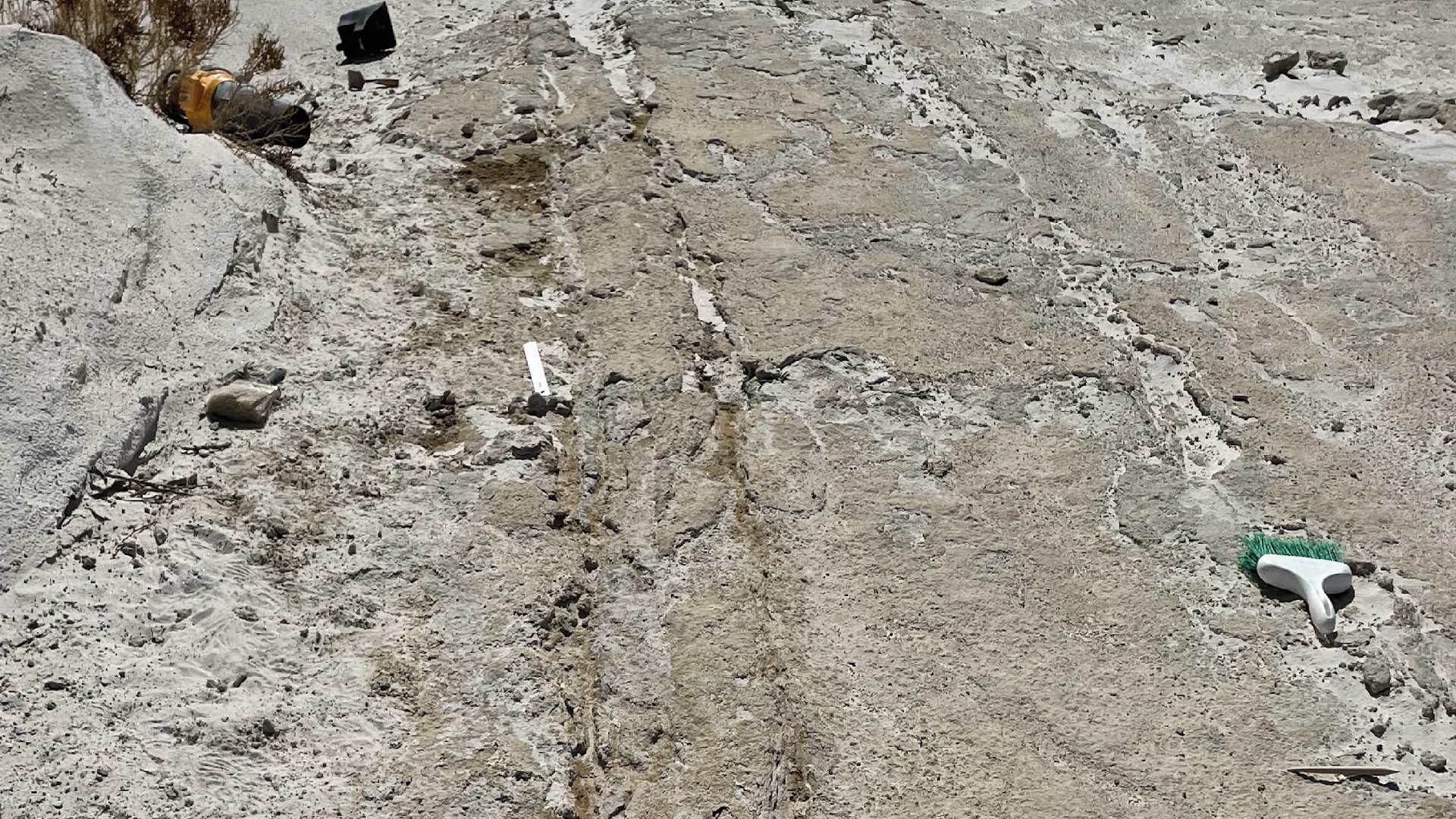 在美国新墨西哥州发现了2万年前的古代“车辆”证据