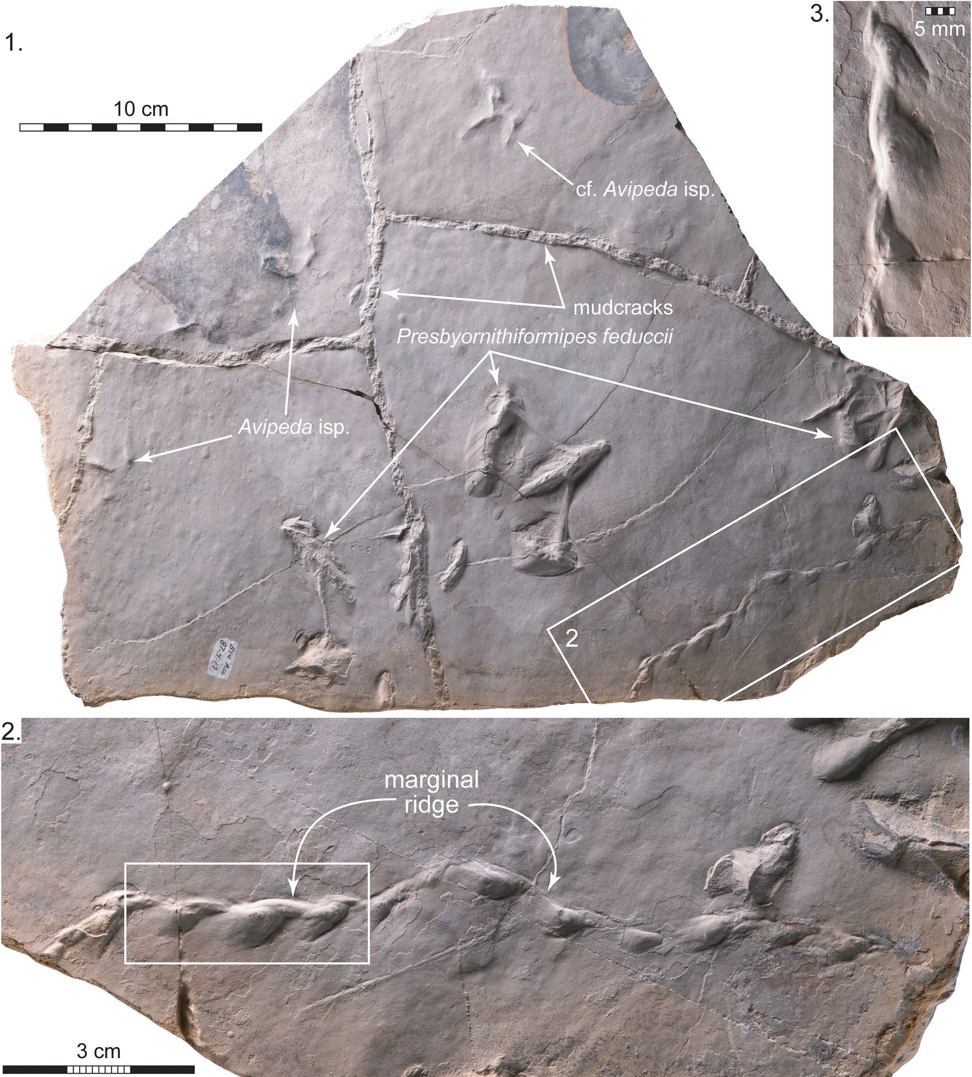 ʼ̲ʯʾ˹ŴˮʳΪĸ