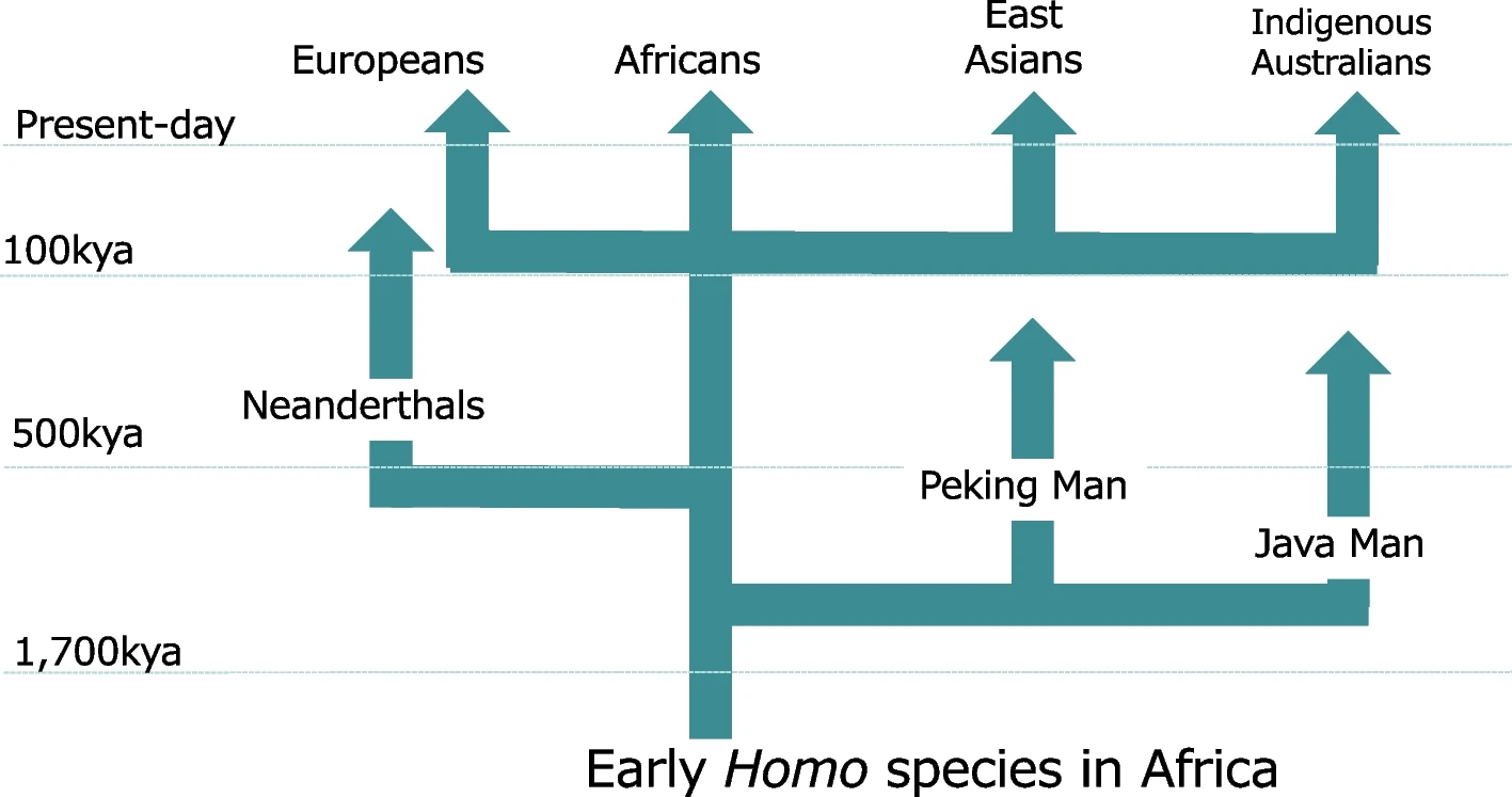 在东欧亚基因组起源中测试走出非洲模型