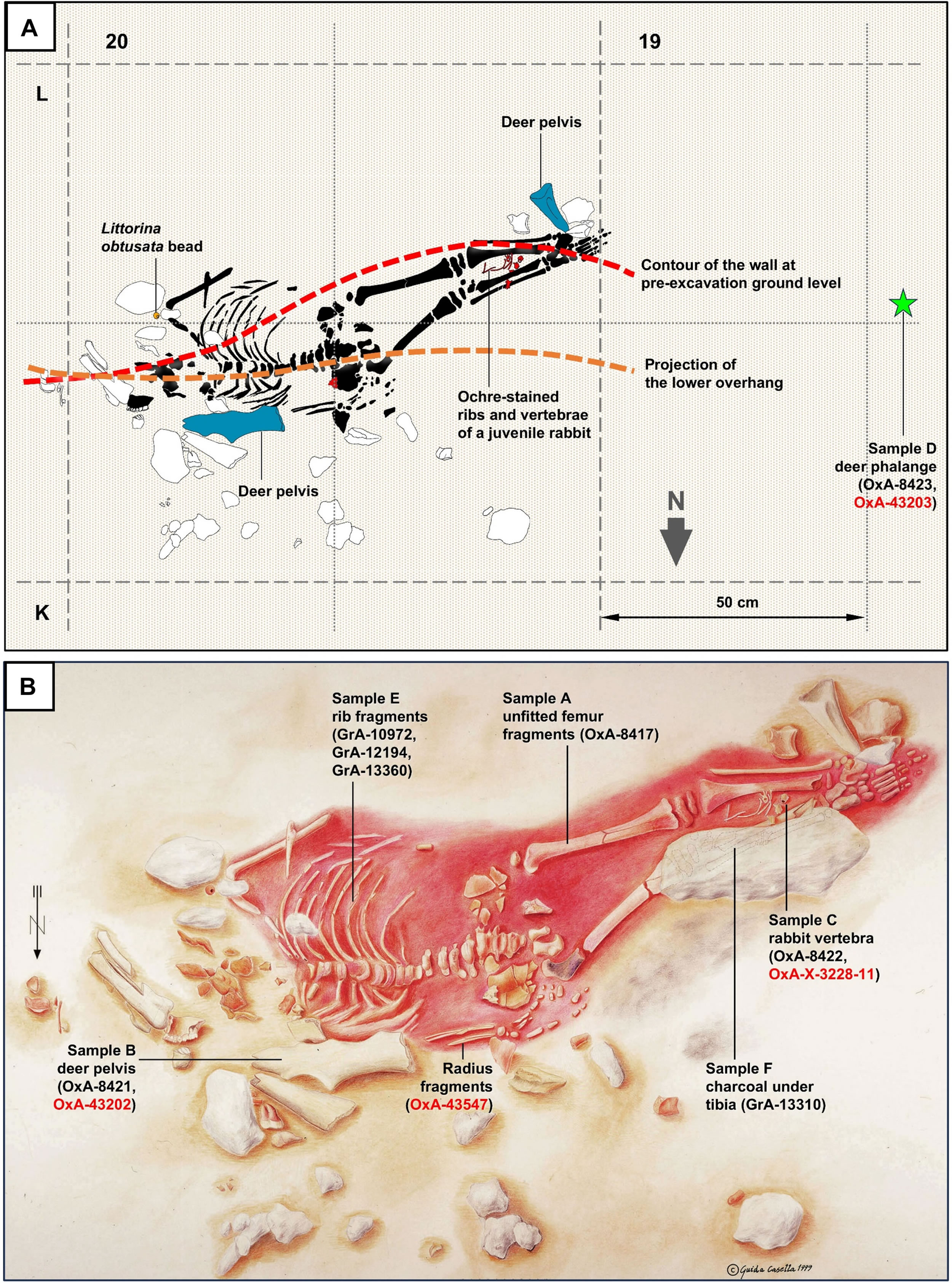 科学家在葡萄牙发现了一个既像人类又像尼安德特人的古代儿童遗骸