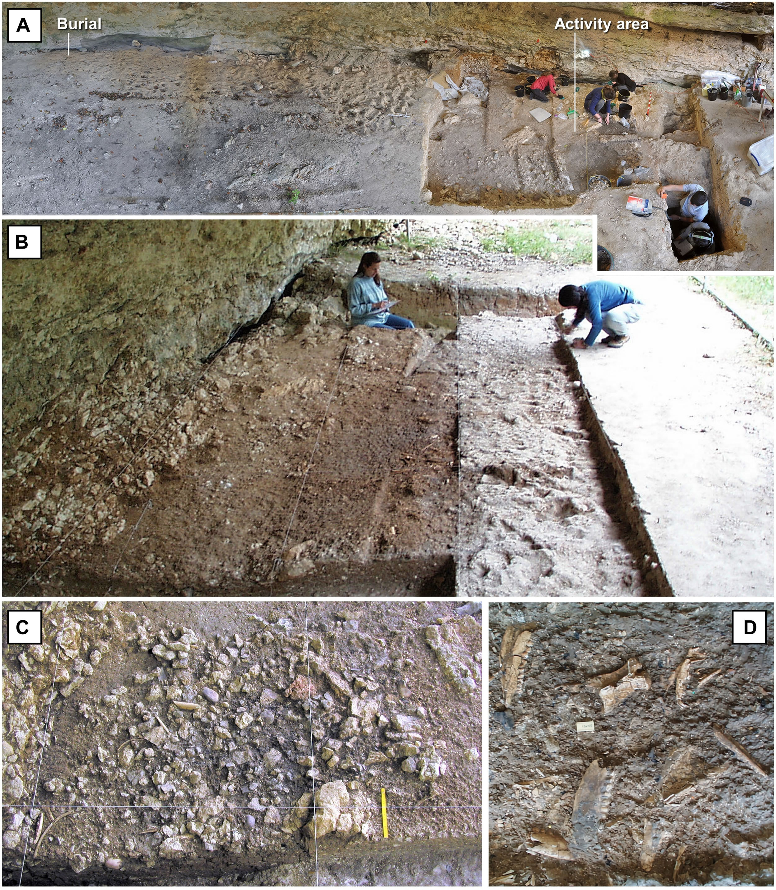 科学家在葡萄牙发现了一个既像人类又像尼安德特人的古代儿童遗骸