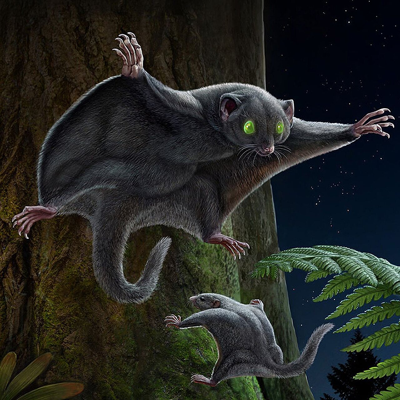 中生代哺乳动物的黑色素体模式表明,它们的皮毛颜色均匀而暗淡