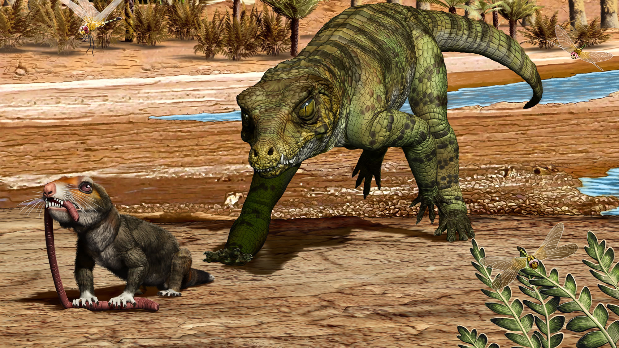 鳄鱼的祖先在两次大灭绝中幸存下来——这是如何做到的