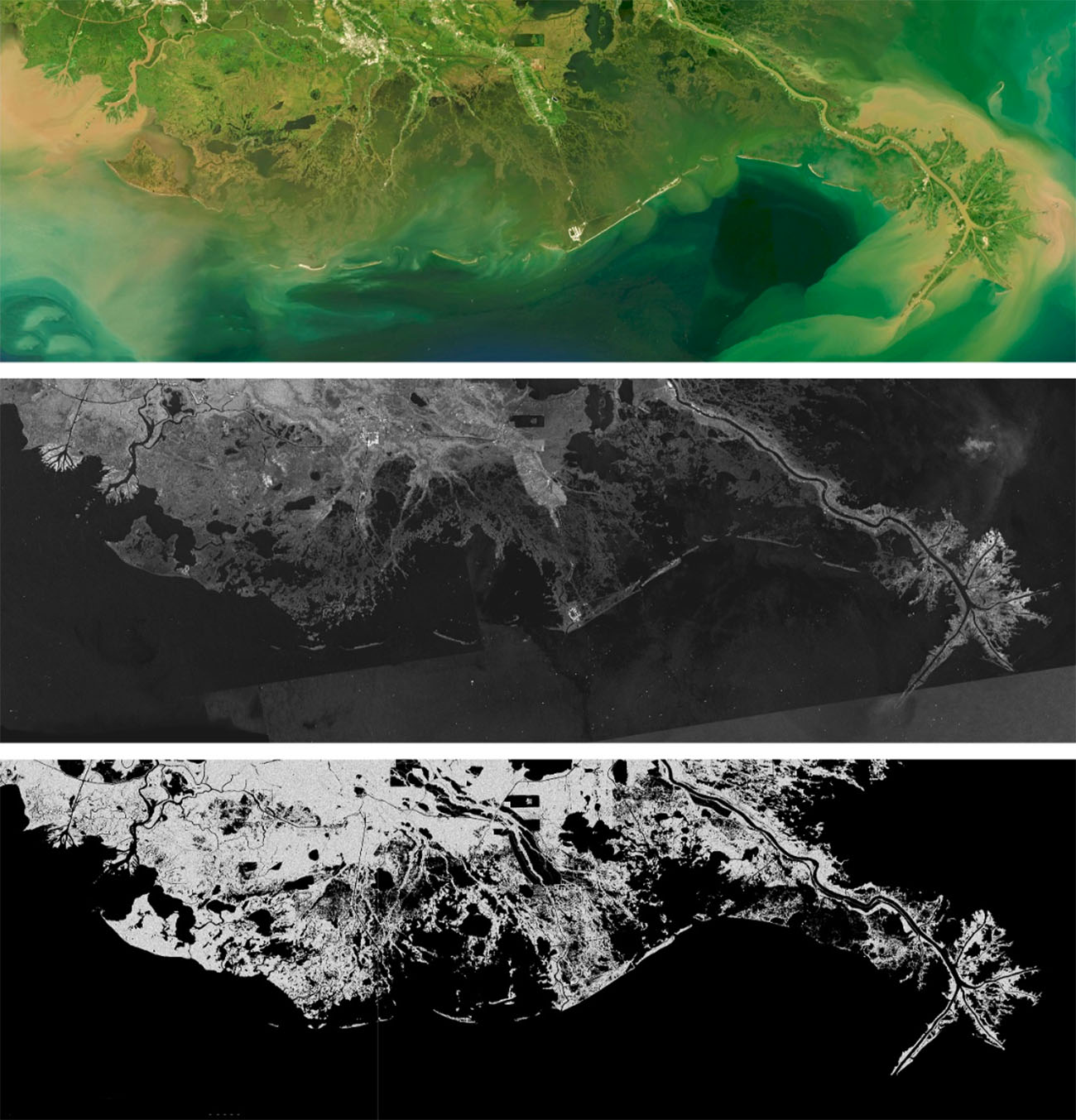 ��ѧ��̽����������������̩̹ȱʧ�����޵İ���