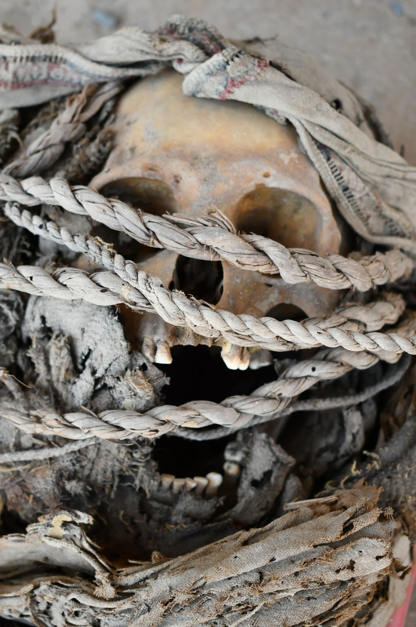 秘鲁出土了一座巨大的圆形坟墓,里面满是伤痕累累的人