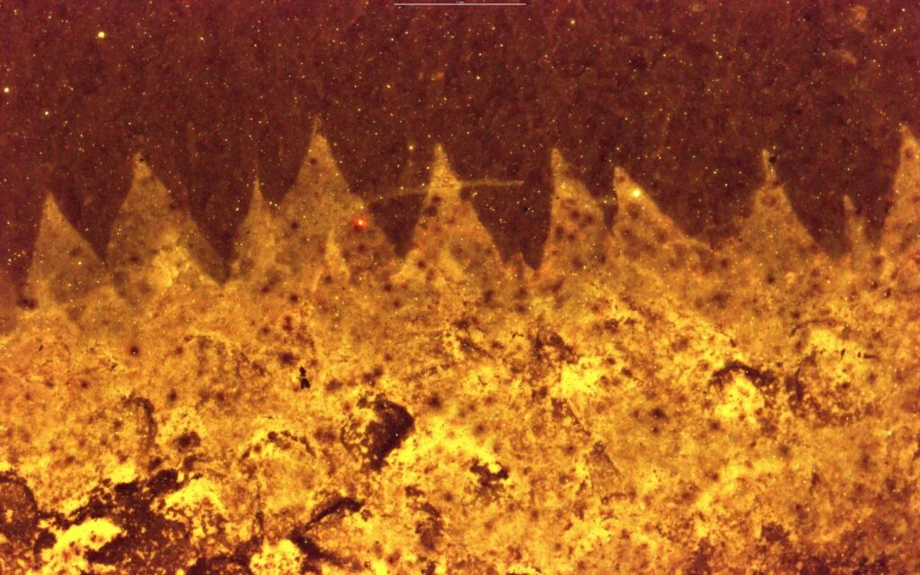 תۣ5ǰ״ʯShishaniaʾΪݣ嶯